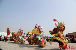 迎佳節慶豐收 滄州黃驊冬棗節熱鬧登場